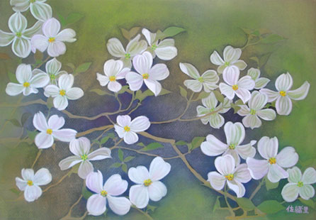 花水木:白