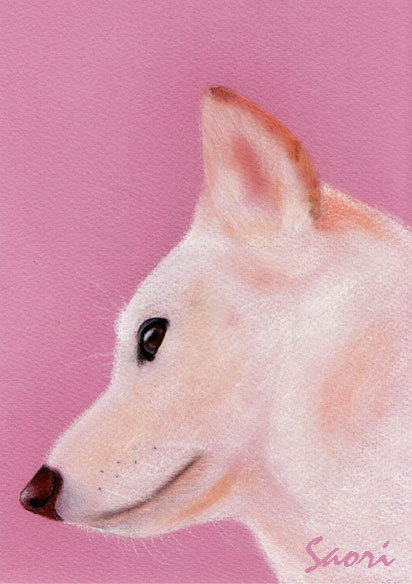 凛ちゃん