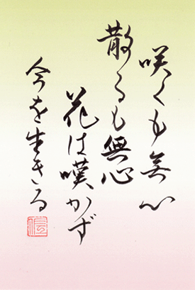咲くも無心 散るも無心 花は嘆かず 今を生きる