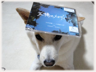 太陽のメロディー