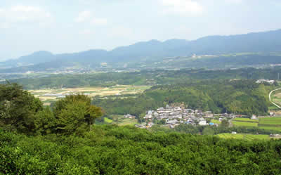 山