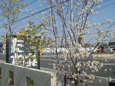 s-DSC02112.jpg