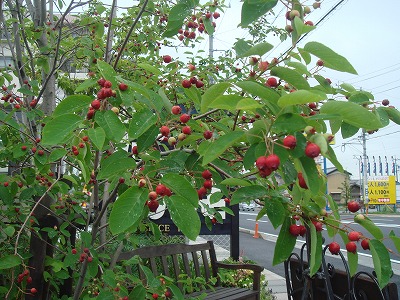 S-DSC02147.jpg
