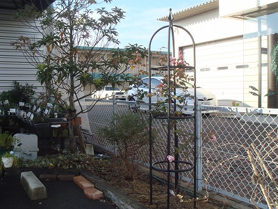 S-DSC02431.jpg