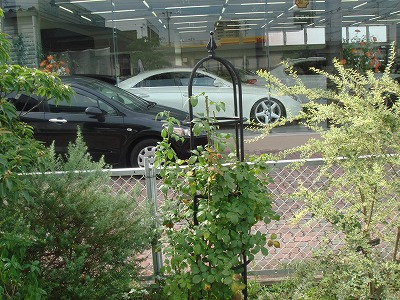S-DSC03865.jpg