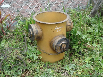 S-DSC03880.jpg