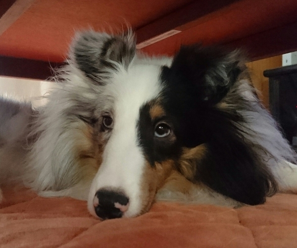 _20161222_171752.JPG