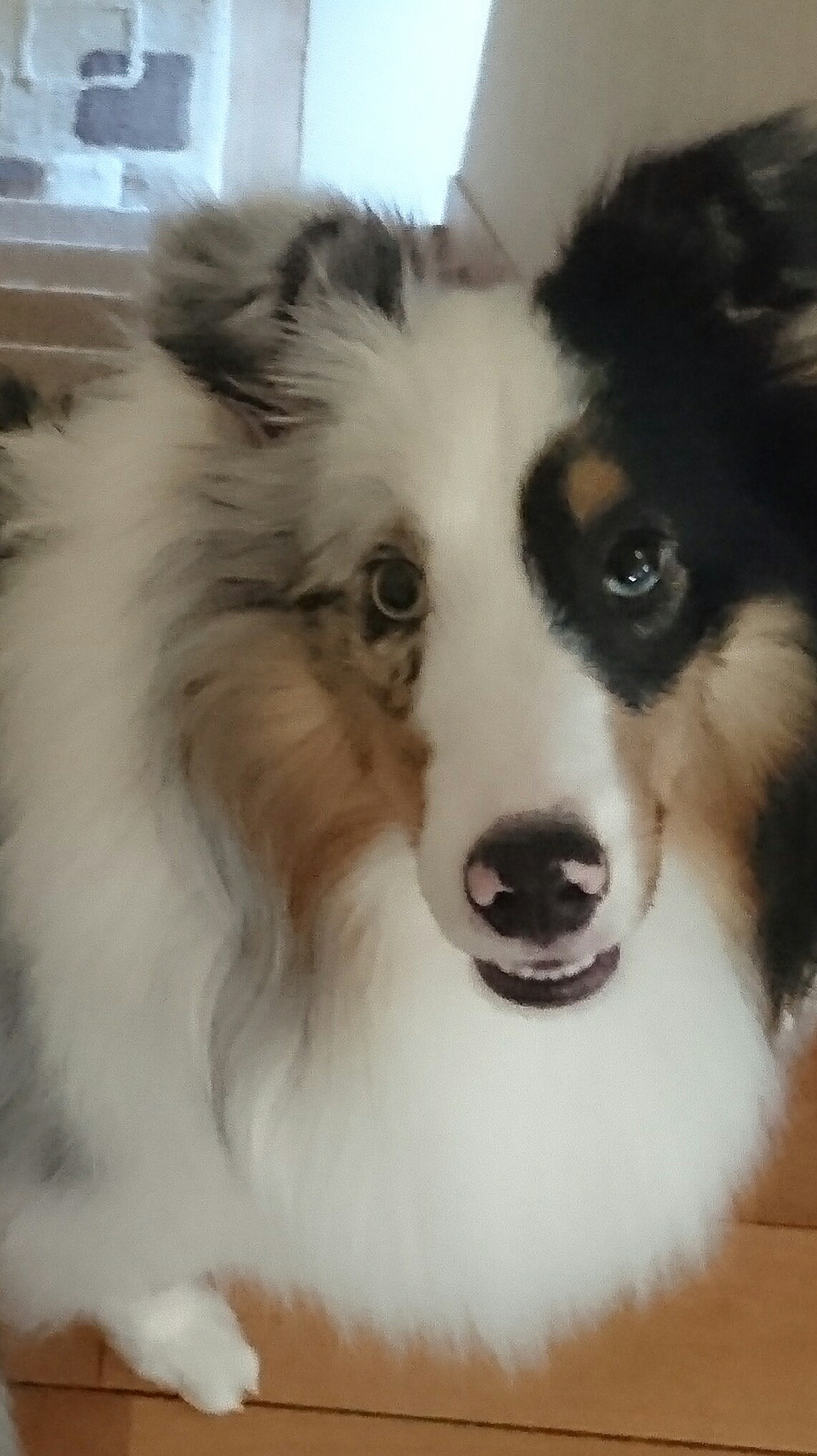 _20161222_181516.JPG