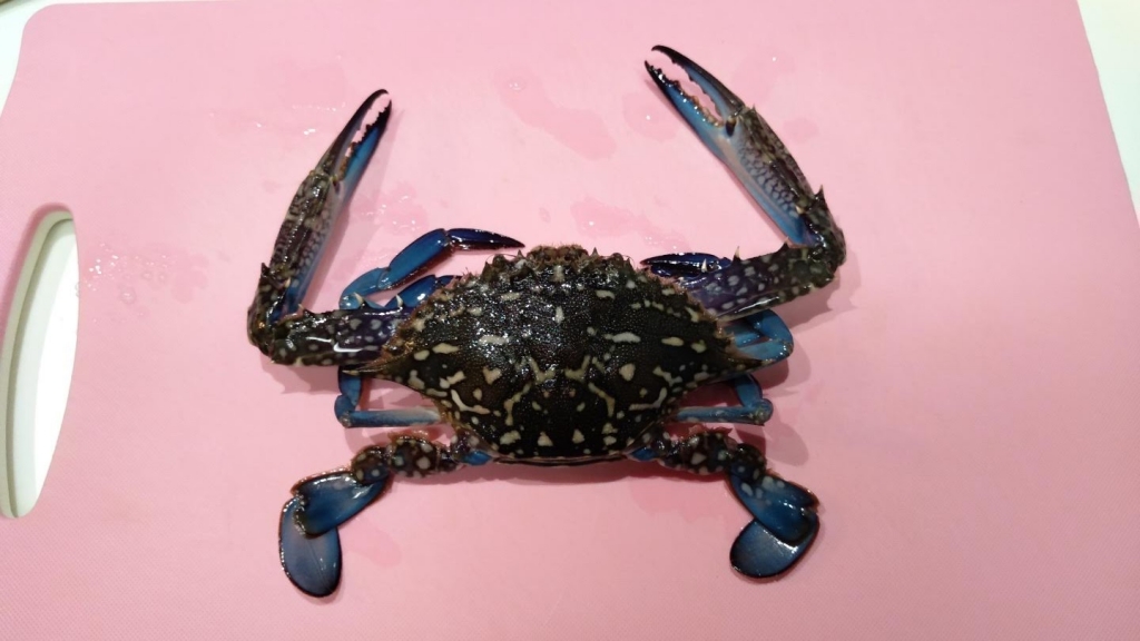 Tos I のきまぐれ日記