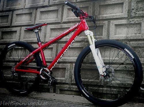 マウンテンバイクフレームダートムーアHORNET 4X