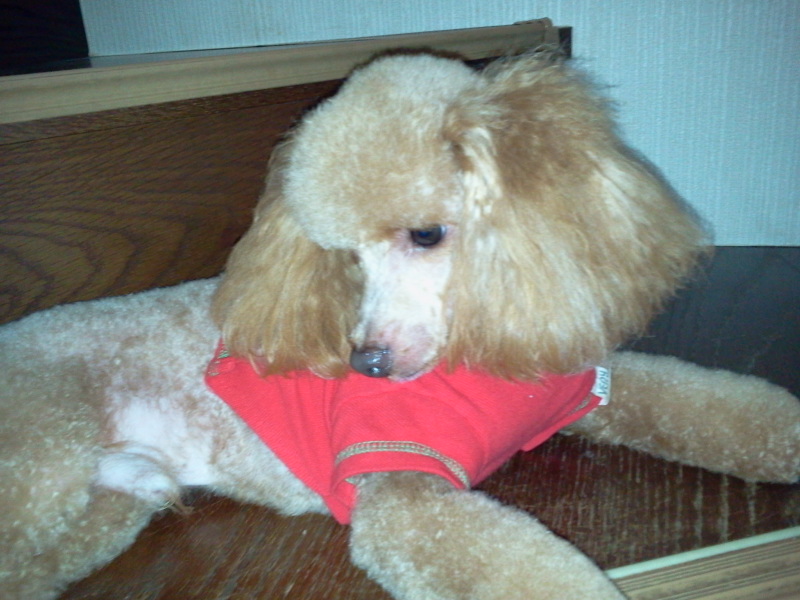 2012-07-22 15.10.45.jpg