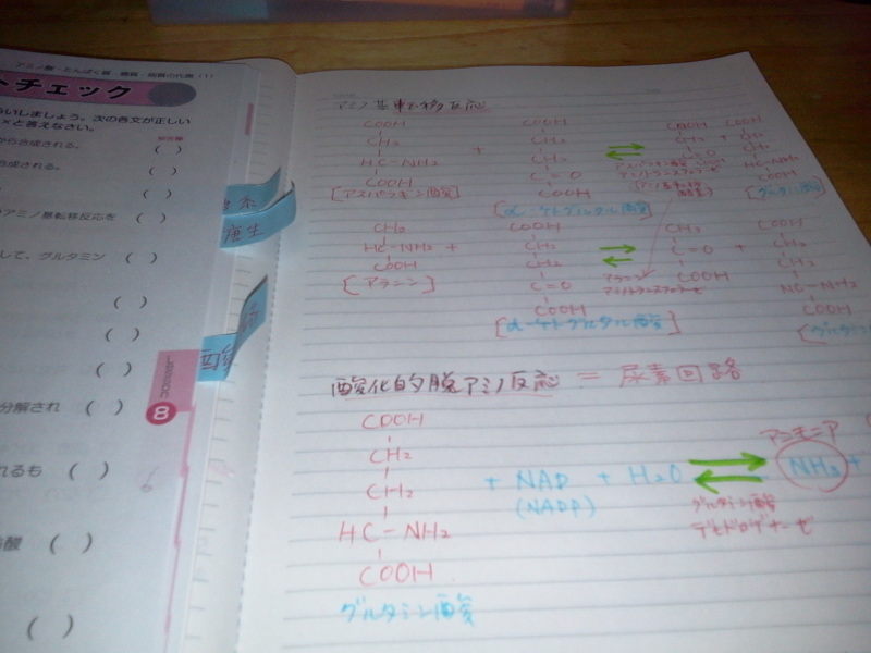 2012-09-15 20.49.08.jpg