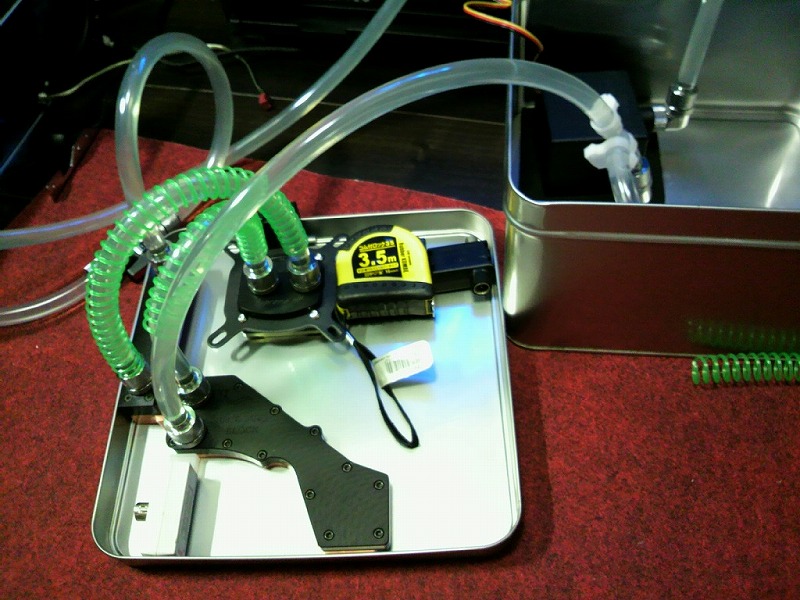 P1010224.jpg