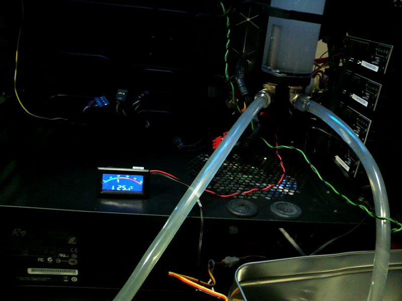 P1010225.jpg