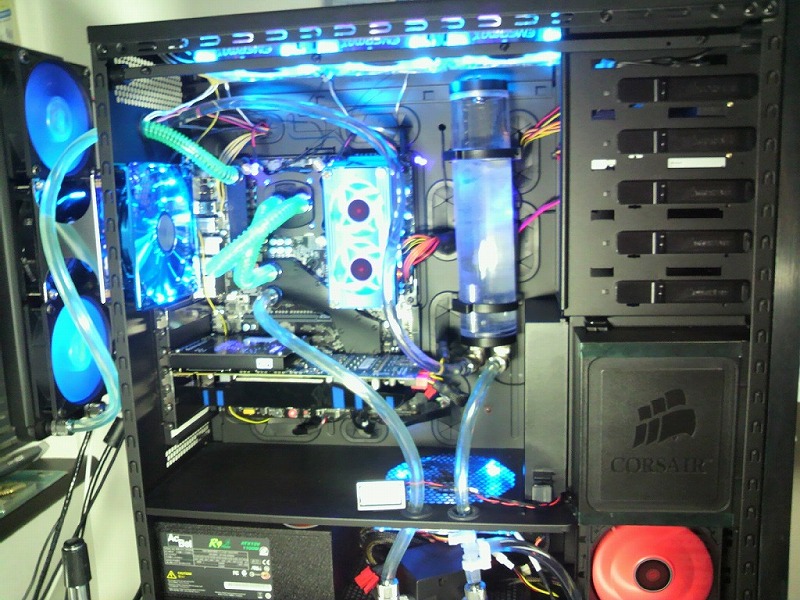 P1010235.jpg
