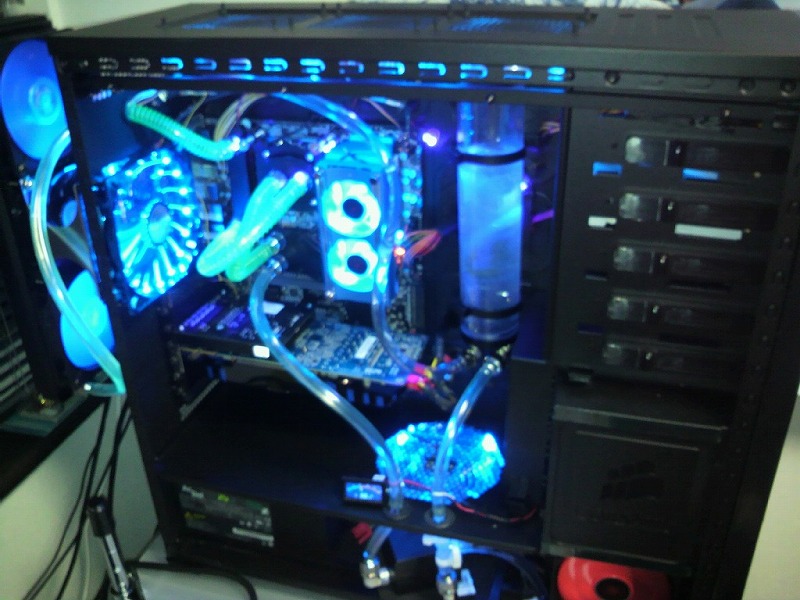 P1010242.jpg
