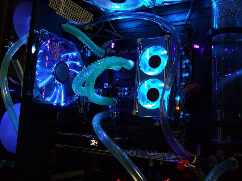 DSCF3156.jpg