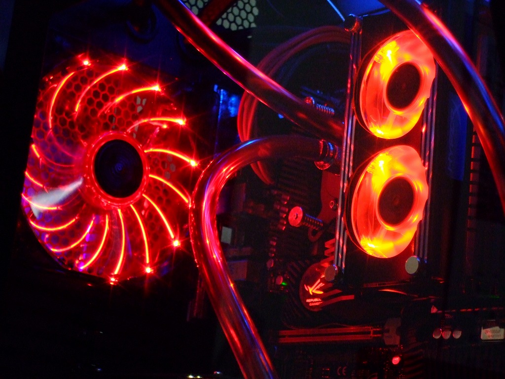 DSCF4667.jpg