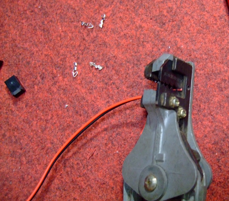 DSCF5582.jpg