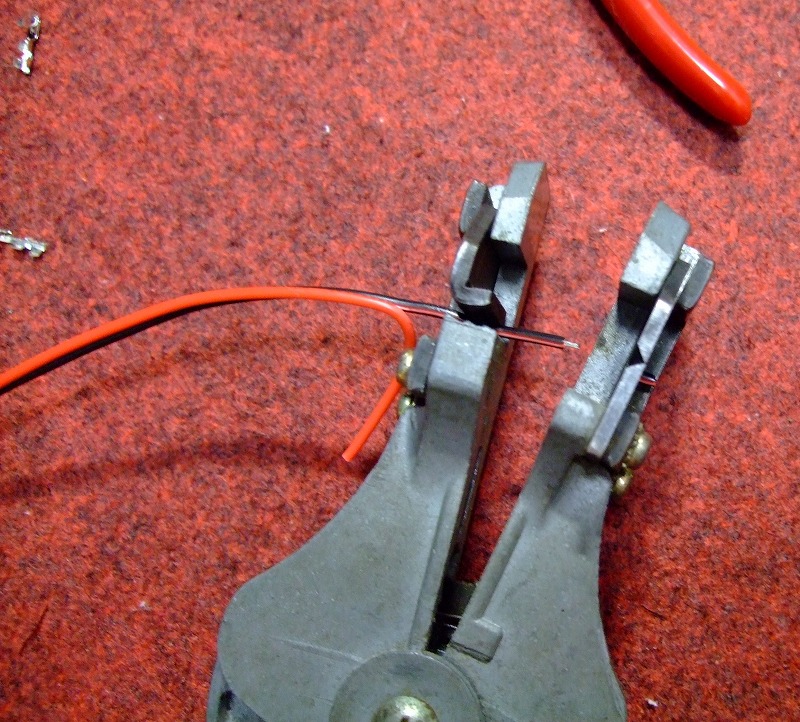 DSCF5584.jpg