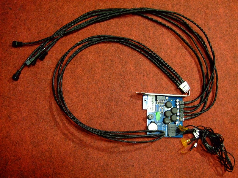 DSCF5598.jpg