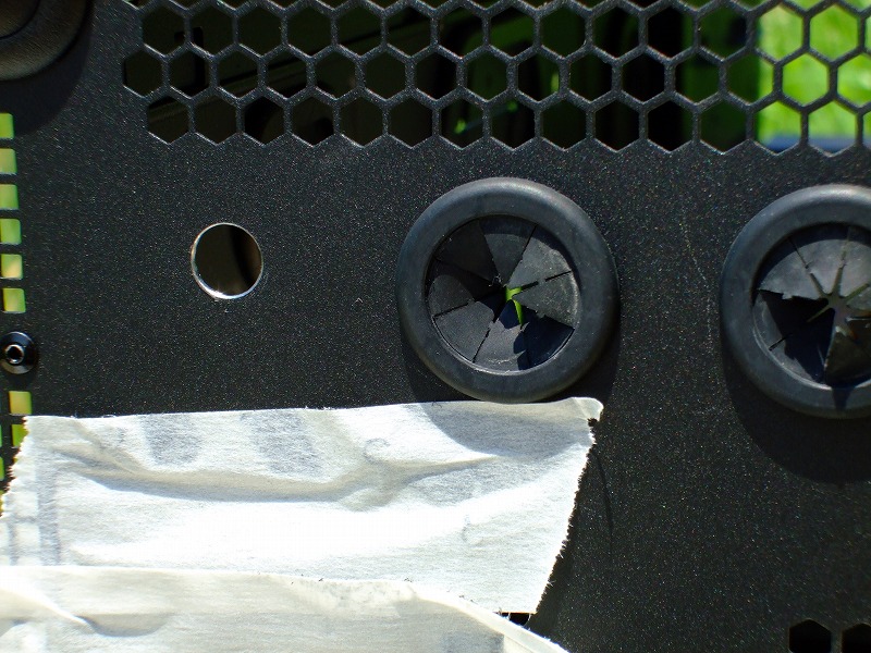 DSCF5614.jpg