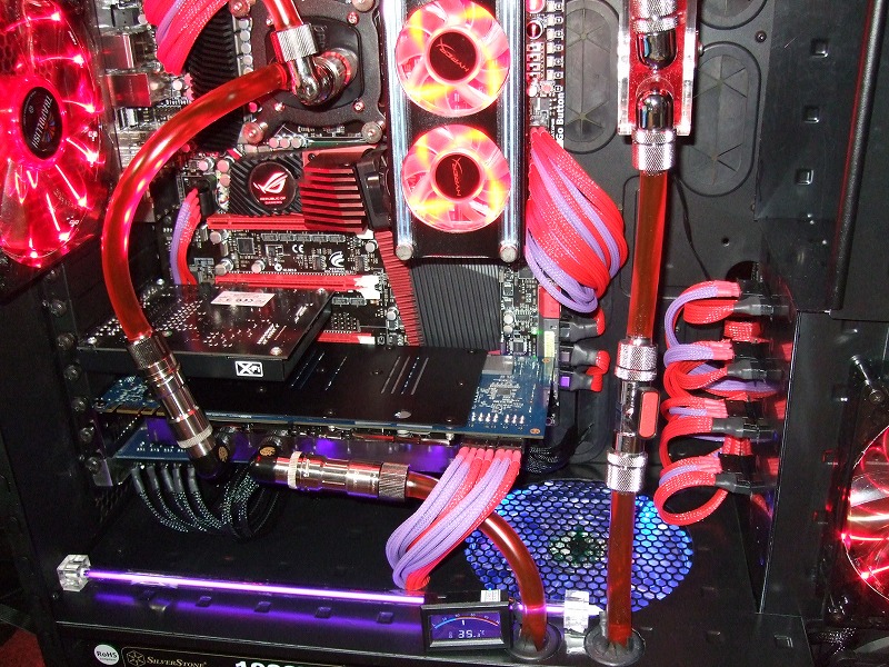 DSCF5805.jpg