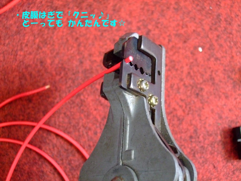 DSCF6287.jpg