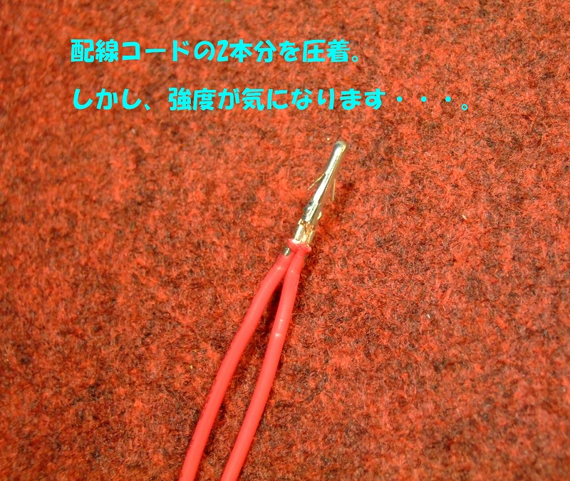 DSCF6295.jpg