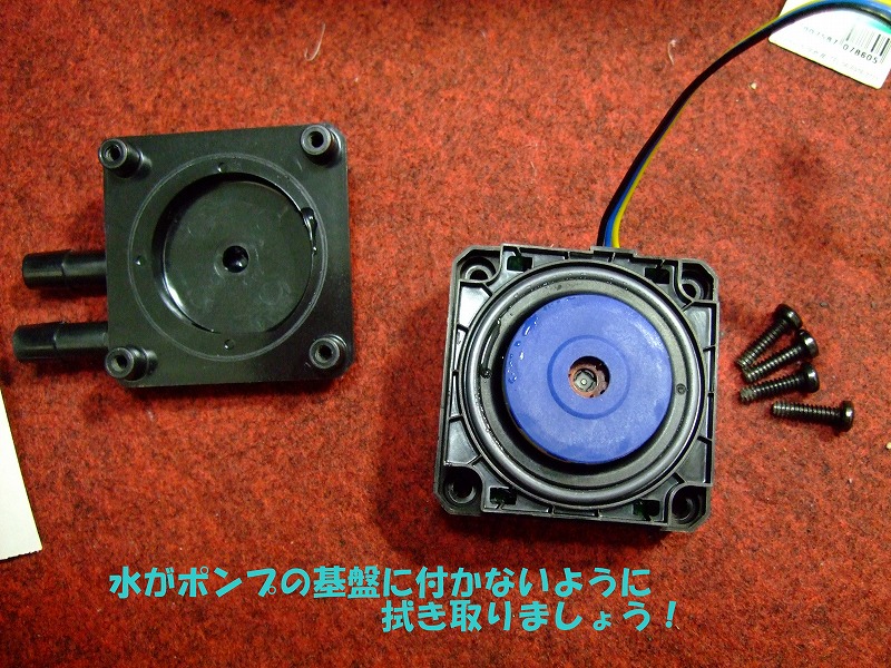 DSCF6231.jpg