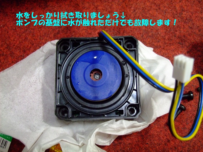 DSCF6238.jpg