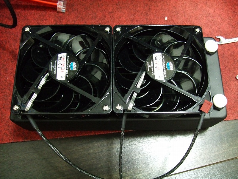 DSCF6438.jpg