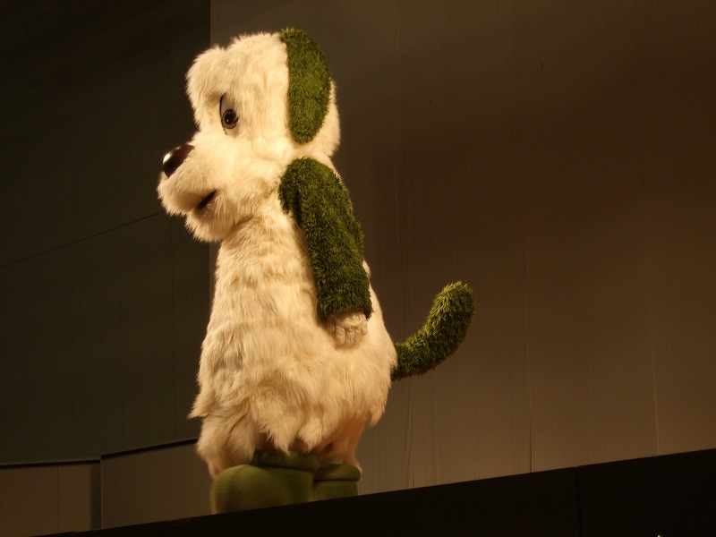 DSCF6473.jpg