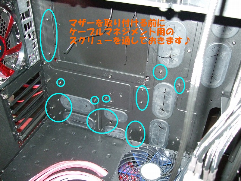 DSCF6486.jpg