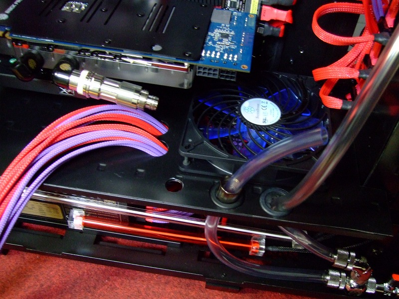 DSCF6651.jpg