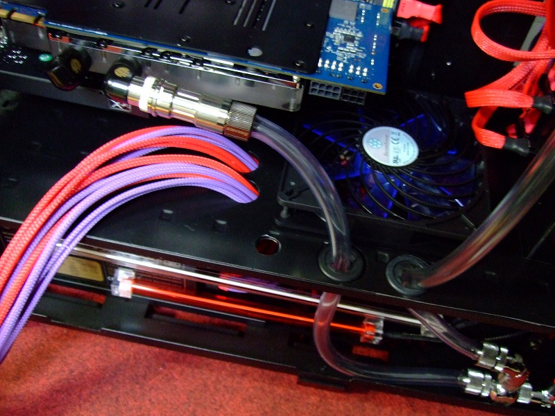 DSCF6652.jpg