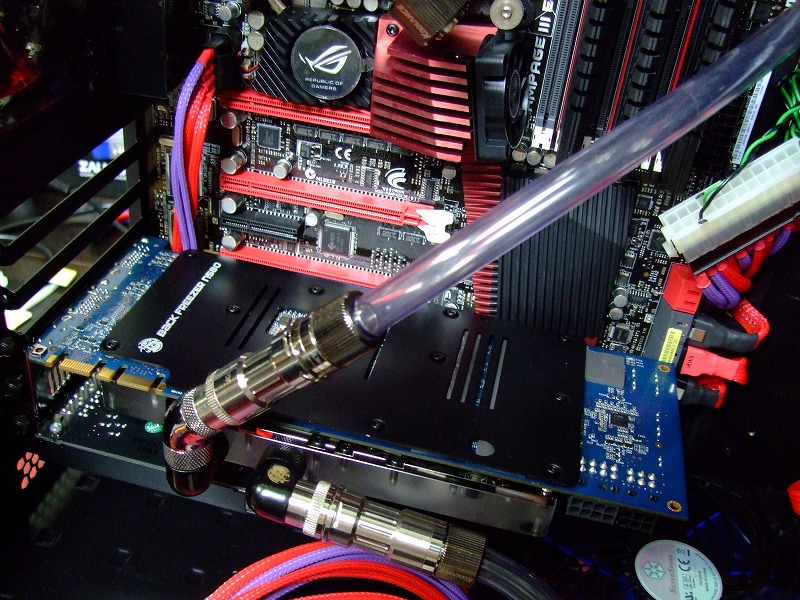 DSCF6654.jpg