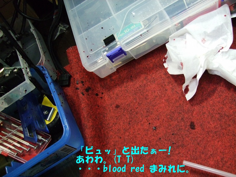 DSCF6671.jpg