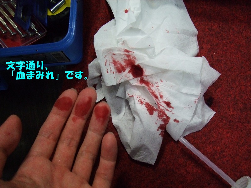 DSCF6672.jpg