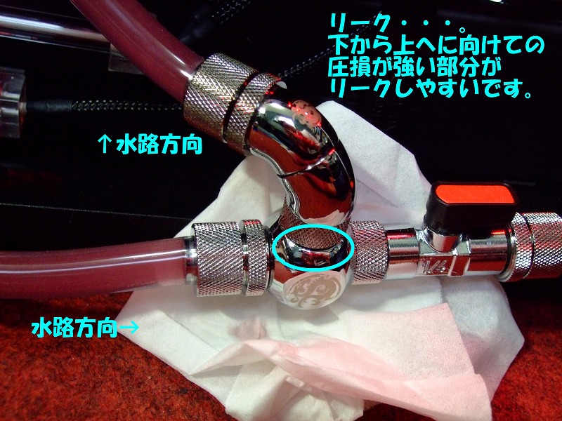DSCF6675.jpg