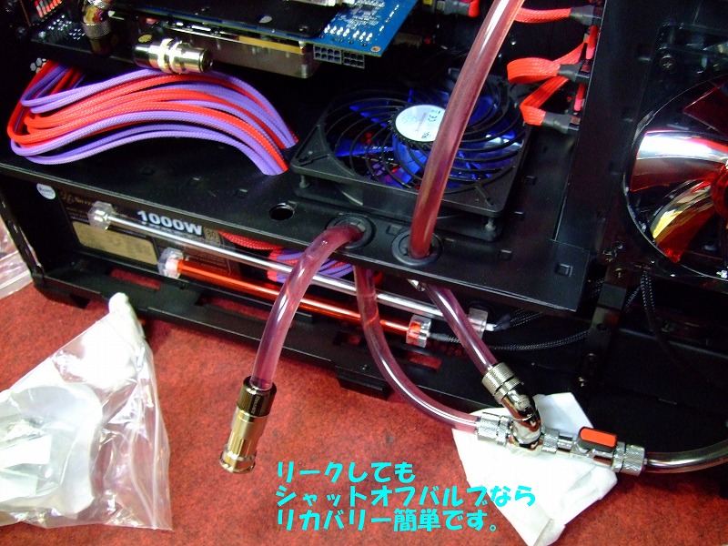 DSCF6677.jpg