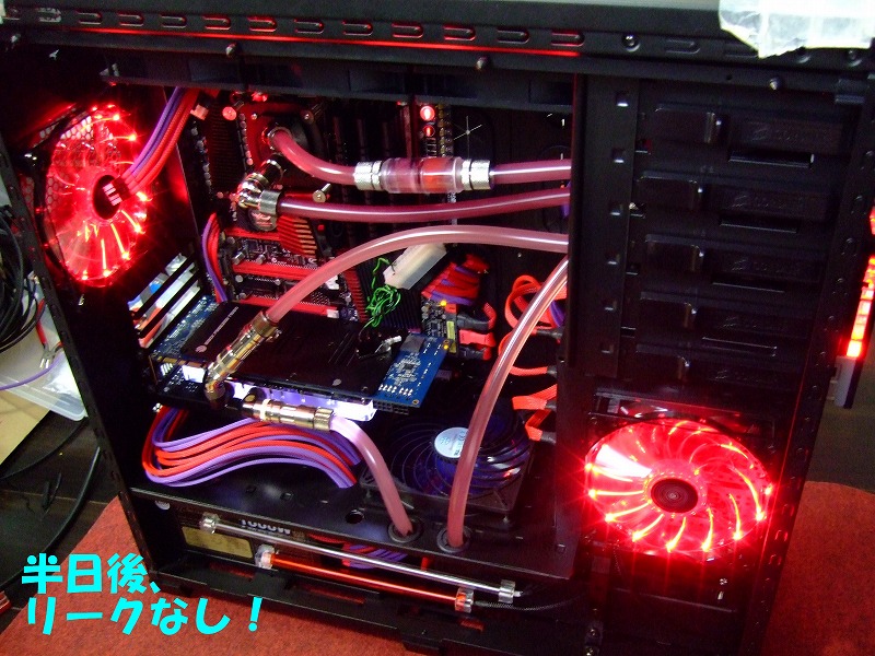 DSCF6681.jpg