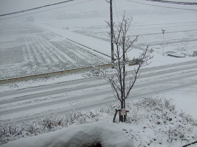 DSCF7909.jpg