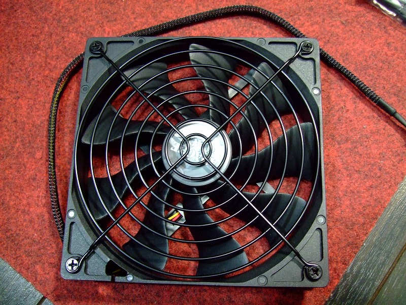 DSCF8539.jpg