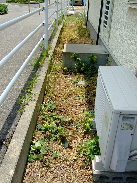DSCF8858.jpg