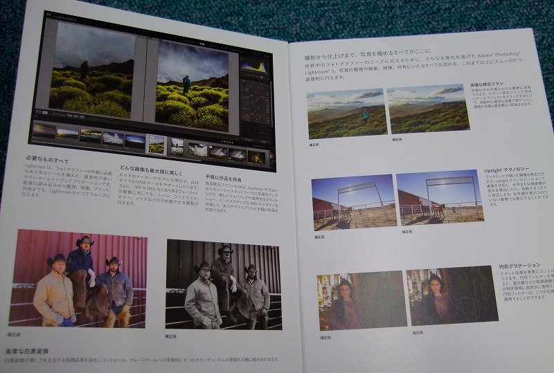 DSCF9077.jpg