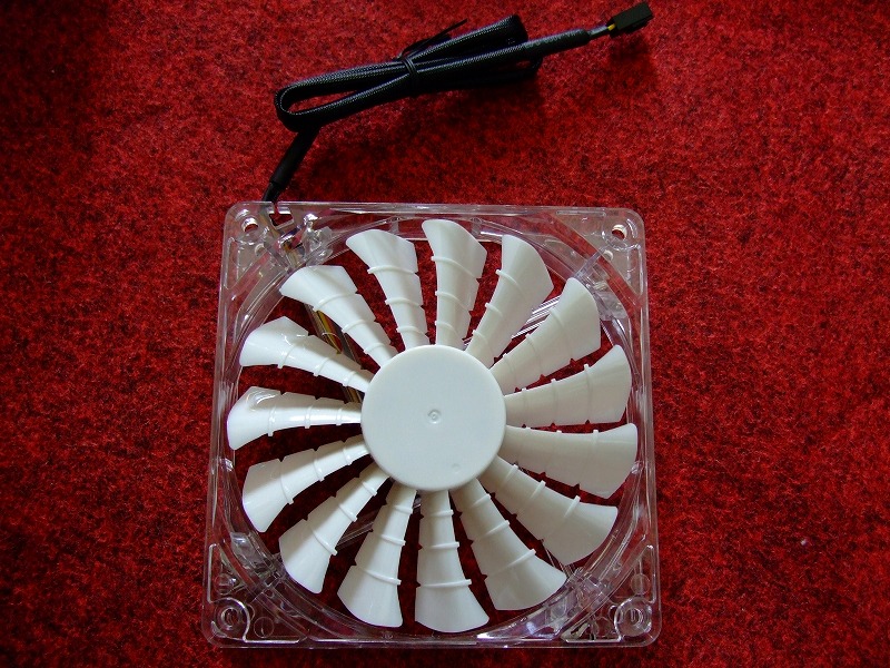 DSCF9313.jpg