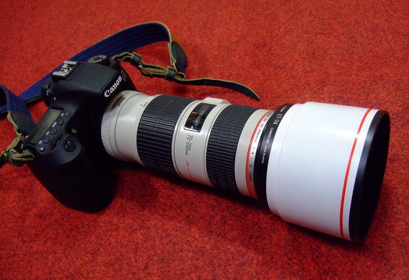20140113-DSCF9529.jpg