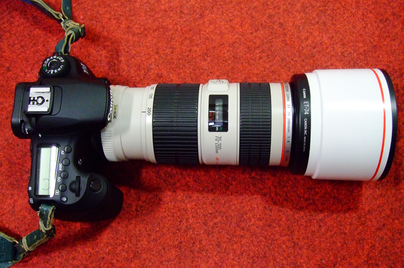 20140113-DSCF9531.jpg
