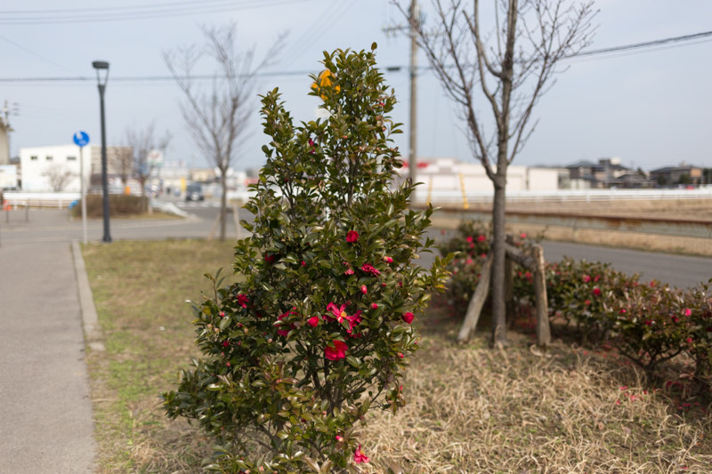 20140301-_MG_6161.jpg
